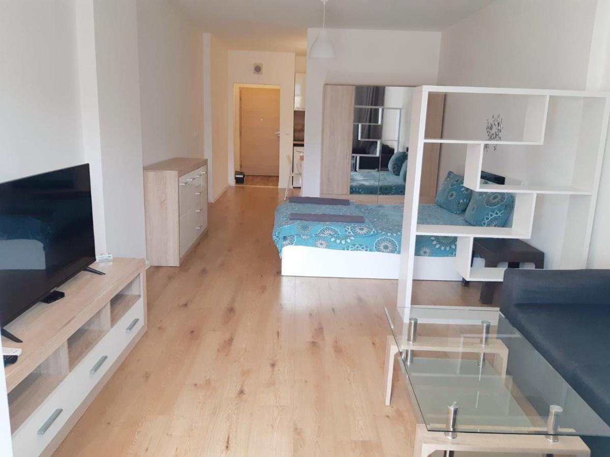 Huge With A Parking Space In The Same Building Apartament Sofia